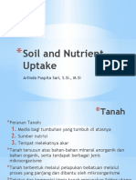 Soil and Nutrient Uptake