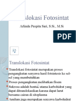 Translokasi Fotosintat