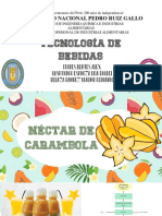 Elaboración del néctar de carambola