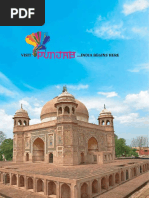 Punjab visual data 6