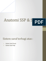 Anatomi SSP & SST