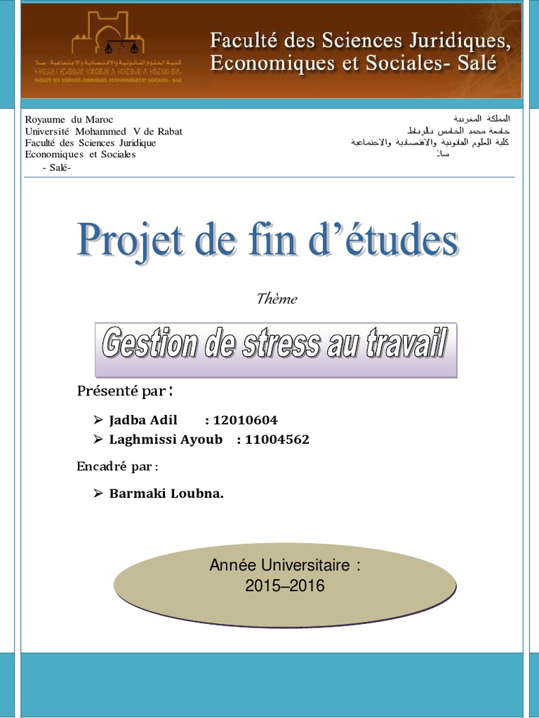 Gestion du Stress au Travail | PDF | Stress (Biologie) | Nature humaine
