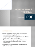 Cervical Spine