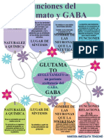 Funciones Del Glutamato y GABA