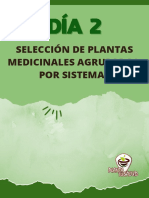 Plantas Medicinales