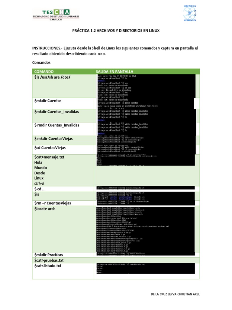 Comandos Esenciales de Linux en Shell | PDF | Informática