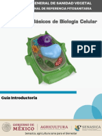 6.- Celulas Procariotas Eucariotas Estructura y Funcion