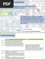 2.1 Molecules To Metabolism