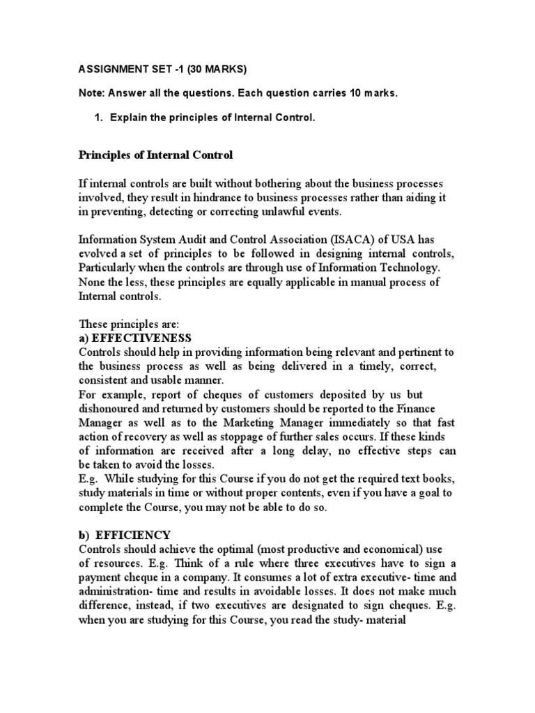 Principles of Internal Control Explained | PDF | Financial Audit | Audit