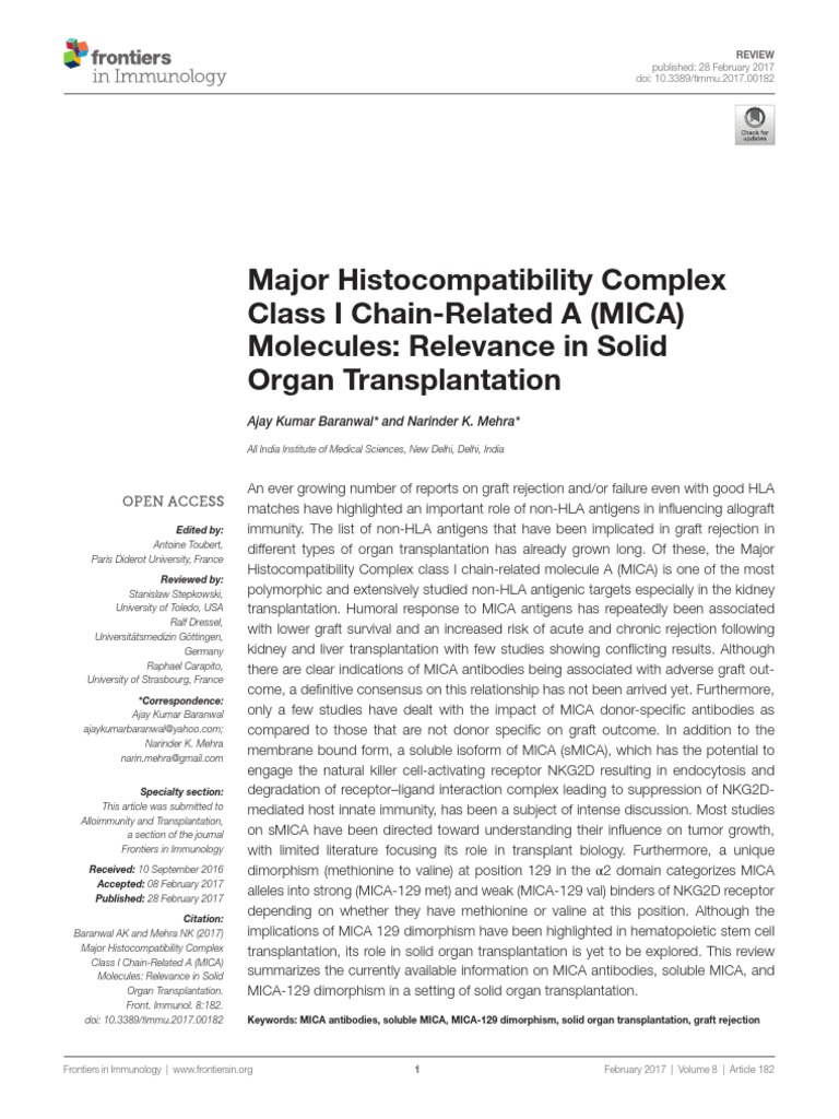 Major Complex Class I ChainRelated A (Mica