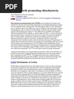 Download Plant-Growth Promoting Rhizobacteria by VRampriya SN49834428 doc pdf