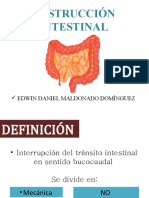 Obstruccion Intestinal