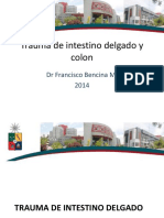 Trauma de Intestino Delgado y Colon: DR Francisco Bencina M. 2014
