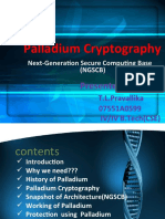 Palladium Cryptography: Next-Generation Secure Computing Base (NGSCB)
