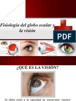 Fisiología Del Globo Ocular y La Vision