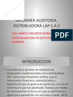 Video Informe Auditoria