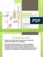 Depuracion y Desintoxicacion Del Organismo