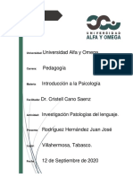 Investigacion Trastornos Del Lenguaje