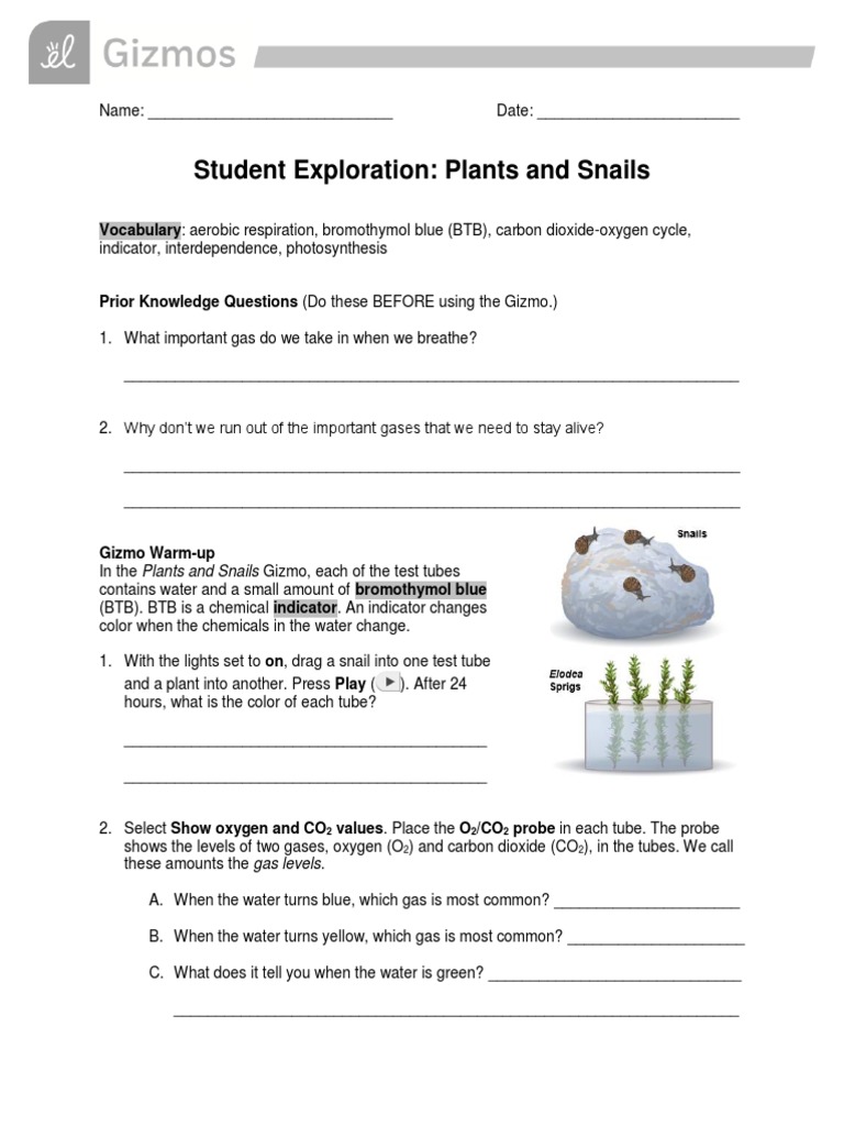 Student Exploration Dehydration Synthesis Answer Key