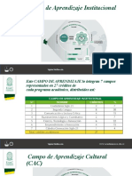 Campo de Aprendizaje Institucional (CAI)