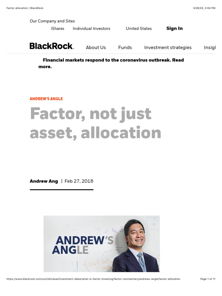 Factor Allocation - BlackRock | PDF | Asset Allocation | Diversification  (Finance)