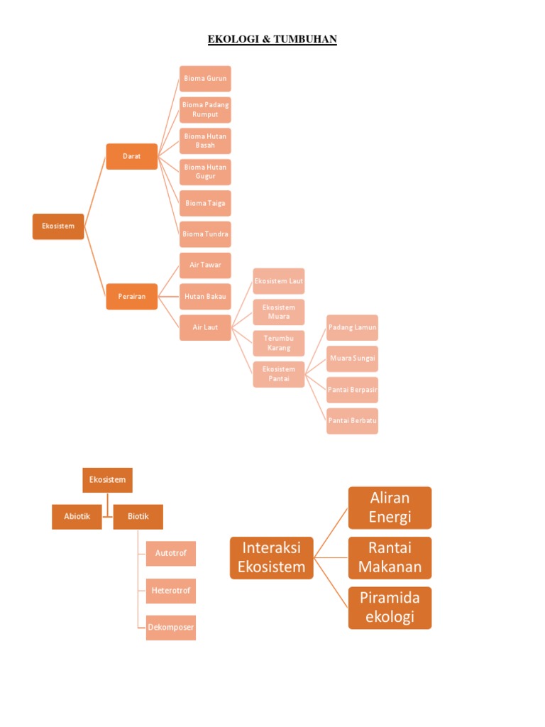Peta Konsep Ekosistem 1 | PDF