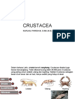 Pertemuan 2 Kelas Crustacea Myriapoda Arachnida