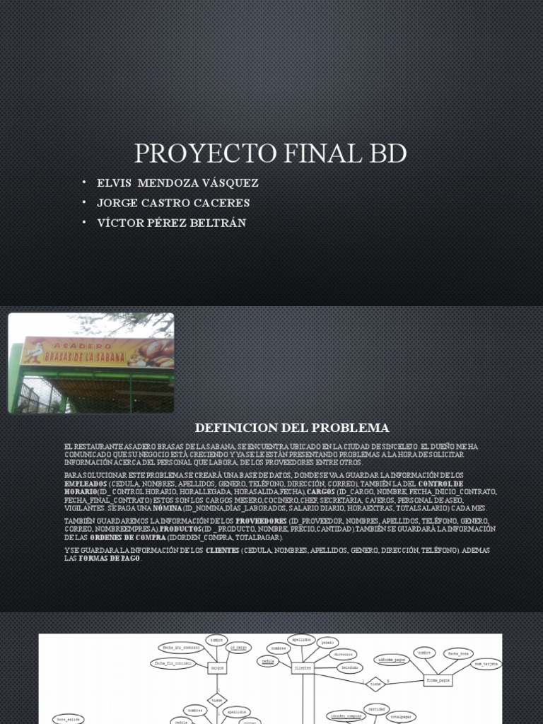 Proyecto Final bd1.0 | PDF | Negocios