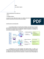 Sistema Reticuloendotelial