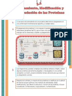 Resumen Capítulo 3.2 de Lodish