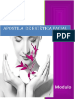 Apostila de Estetica