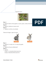 Ficha Solucionario