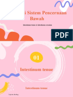 LI_HISTO PENCERNAAN BAWAH PT.1