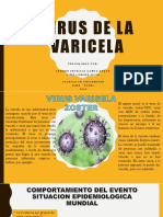 Virus de La Varicela PDF