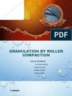 Roller Compaction Granulation Technology