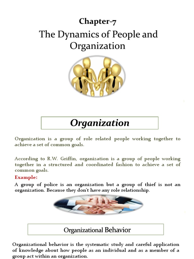 Understanding Organizational Behavior | PDF | Attitude (Psychology ...