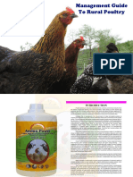 Management Guide To Rural Poultry