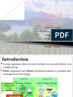 Natural Ecosystem: Ecosystem Photosynthesis Herbivores Carnivores Omnivores Food Chain