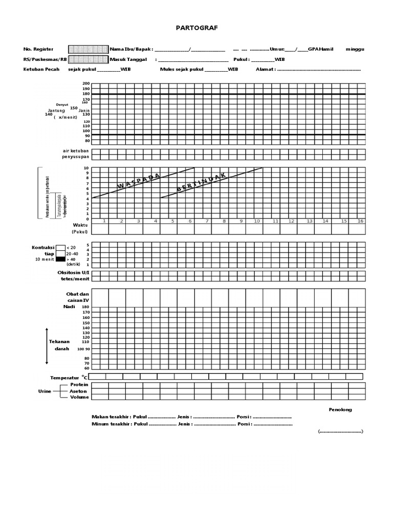 Format Partograf Persalinan 2024 | PDF