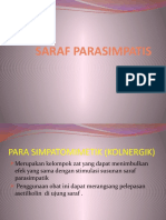 Saraf Parasimpatis