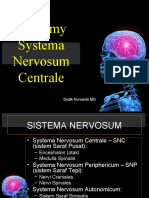 Anatomy Systema Nervosum Centrale: Dodik Nursanto MD