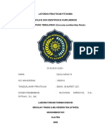 LAPORAN SEMENTARA PRAK. FITOKIMIA Isolasi Kurkuminoid - Nafrianti - 1904023 - 2A