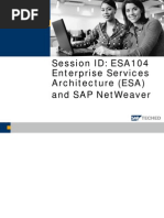 Enterprise Services and NW