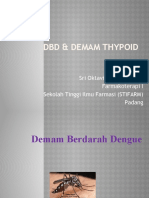 DBD Dan Tifoid