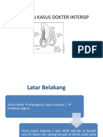 Torsio Testis