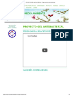 PROYECTO GEL ANTIBACTERIAL - Página Web de Pedroambiental