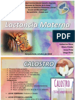 Lactancia Materna pdf