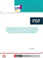 Orientaciones Pedagogicas Para Brindar La Retroalimentacion a Los Estudiantes 23-06-20