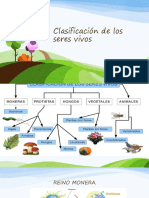 Clasificación de Los Seres Vivos Feb 23 REINOS