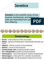 Genetics: Genetics Is The Scientific Study of How